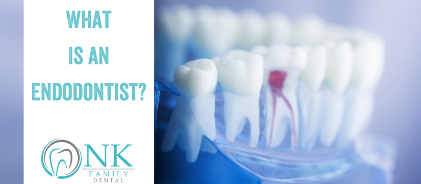 What Is an Endodontist?