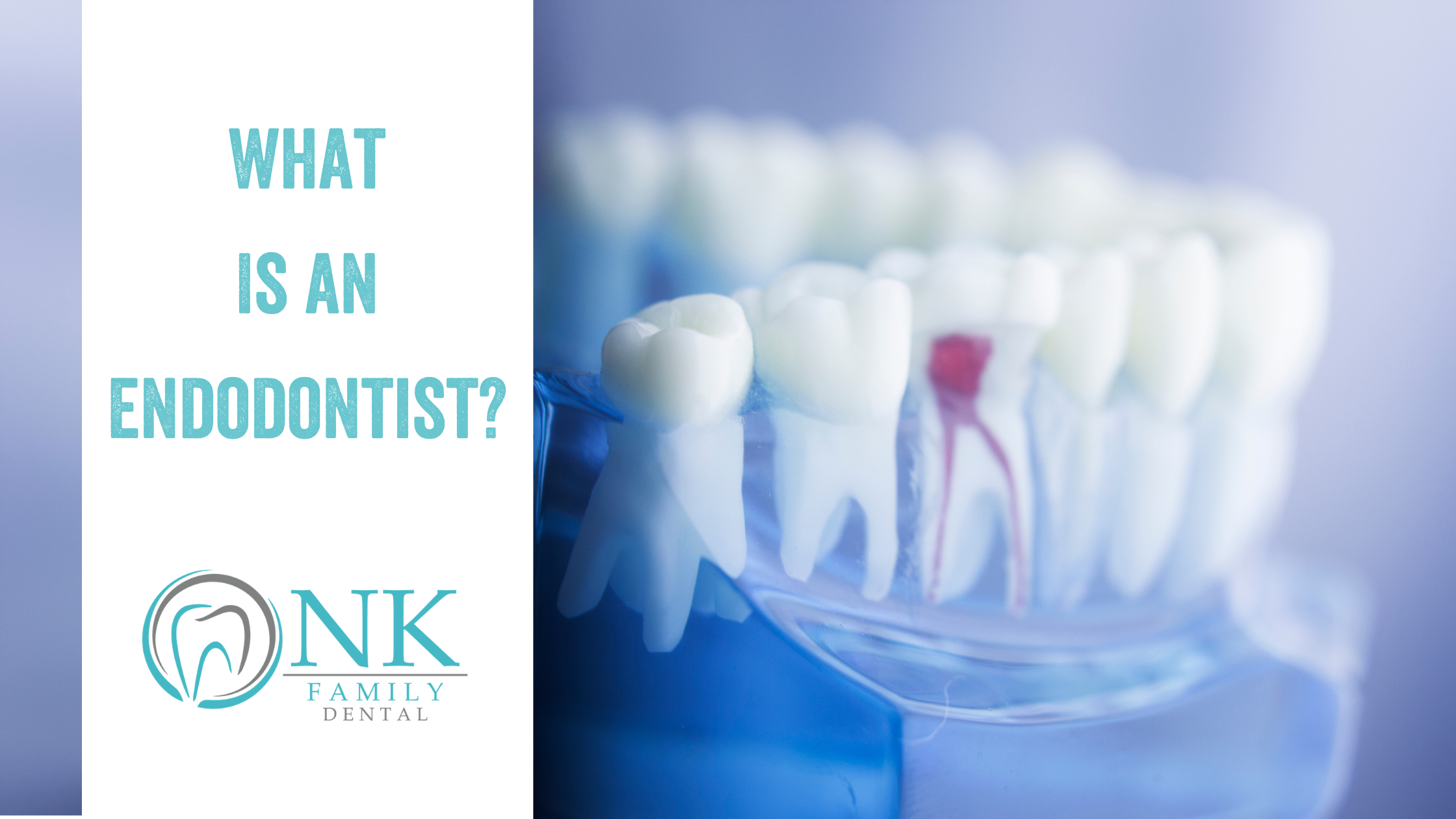 nk family dental blog what is an endodontist
