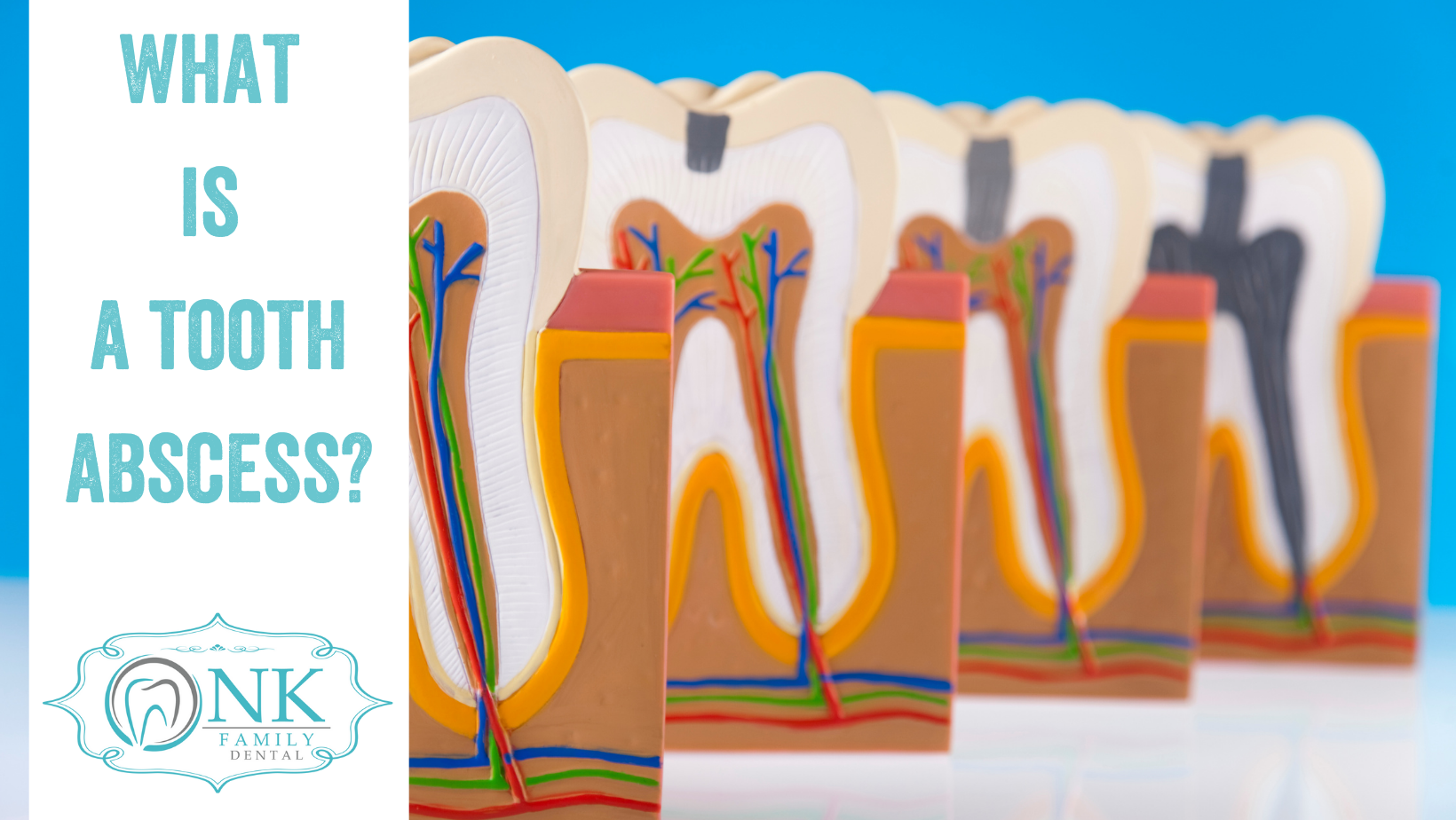 nkfamilyblog2 (october2021)