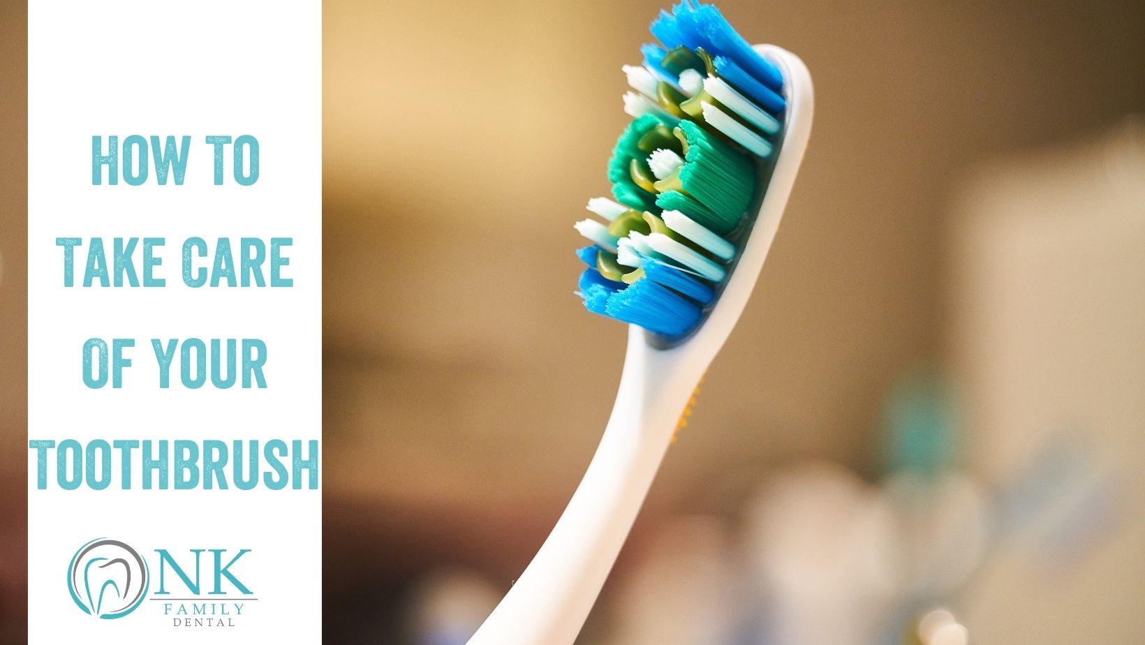 how to take care of your toothbrush nk family dental blog #1 (march2022)