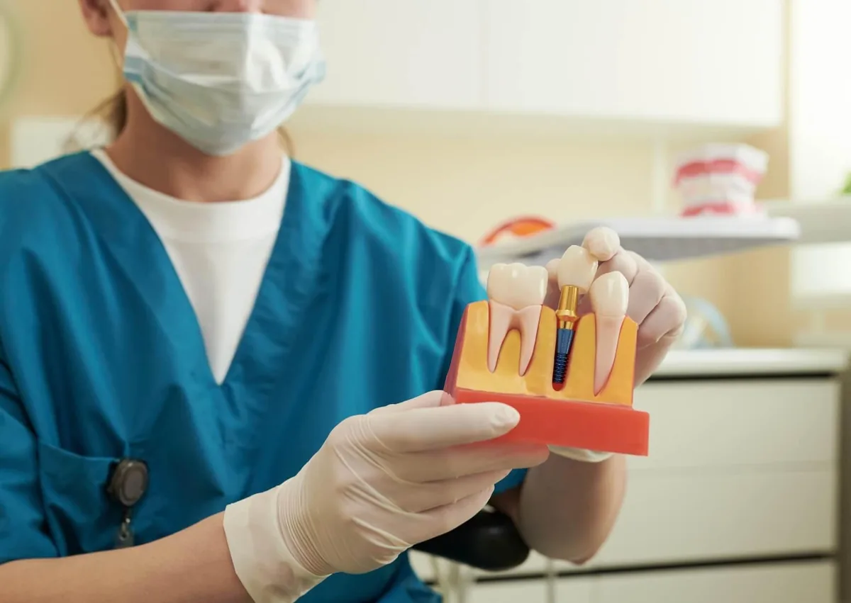 Dental professional holding a tooth model with a dental implant while explaining affordable dental implant options.